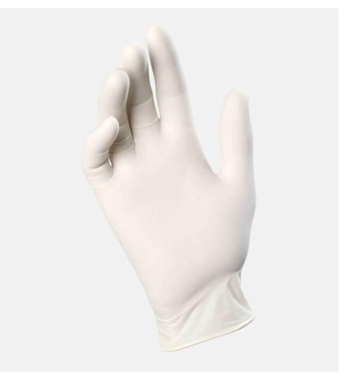 Immagine 1 di Guanti in lattice PALMPRO Essential 521 BOX 100 pezzi ex latex gloves ico